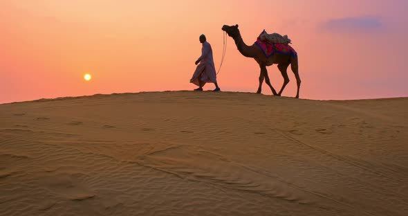 Indian Cameleer (Camel Driver) Bedouin with Camel in Sand Dunes of Thar Desert on Sunset. Rajasthan