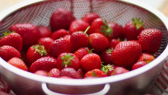 Freshly Harvested Strawberries