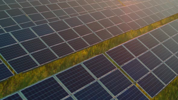 View From Drone of Green Field with Photovoltaic Farm