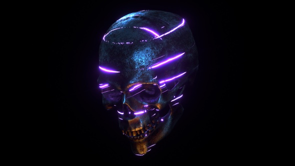 Ai Neon Skull Lights