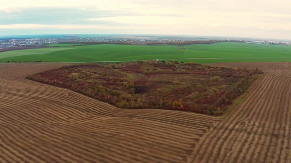 Flying Over an Green Empty Field