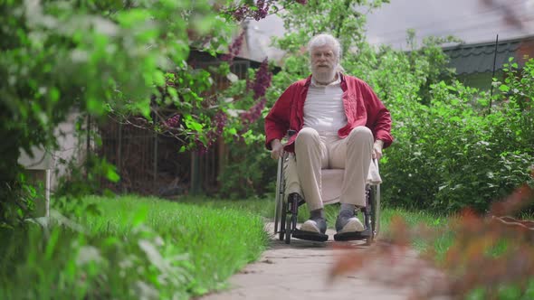 Portrait of Joyful Disabled Senior Man Rolling Wheelchair in Sunny Summer Garden Smiling