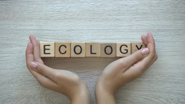 Ecology, Hands Pushing Word on Wooden Cubes, Environment Protection, Recycling