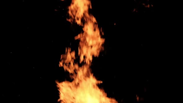 Fire Flames on a Black Background in Slow Motion Bonfire Burning at Night