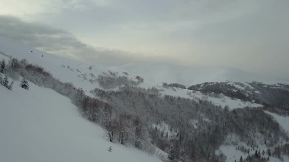 Aerial View of Snow Covered Forest in Winter Mountains.