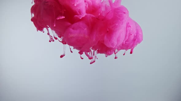 Pink Pearl Color Paint Drops in Water Against White Background