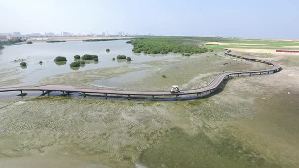 Cityscape of Ajman with Golf Fields Aerial Top View