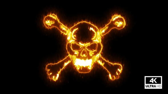 Fire Burning Skull With Crossbone V6