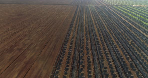 Peat Production in Harvesting Field Aerial View at Sunset