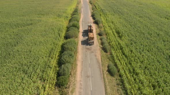 Logging Truck Transports Logs on a Trailer on a Country Road on a Spring Day