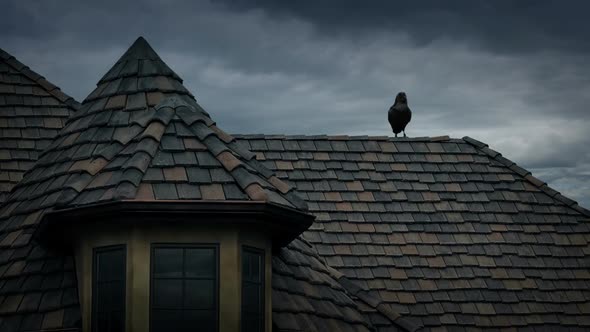 Crow On Rooftop Of Old House