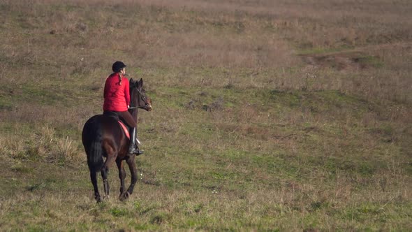 Rider Galloping on a Green Field on Horseback