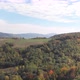 A drone shot flying over a mountainous area covered with many different types of trees. - VideoHive Item for Sale