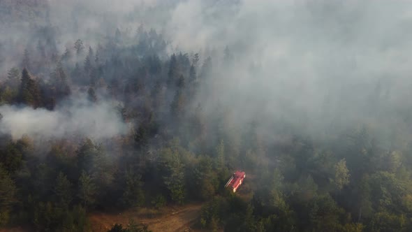 Fire in the forest aerial view. Cinematic aerial shot fire in the forest.