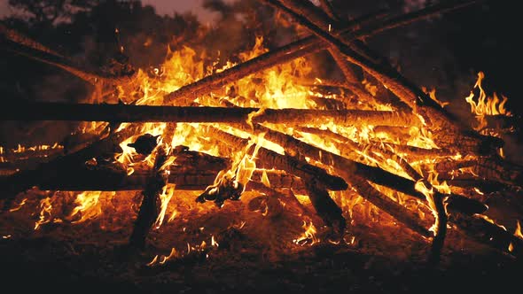 Big Bonfire of the Logs Burns at Night in the Forest