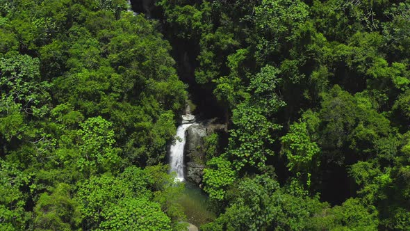 Water Crashes over Small Cliff Surrounded by Beautiful Lush Green Trees and Shrubs, Saltos Jima Wate