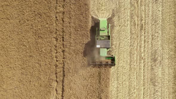 Combine harvester gathers the wheat crop. Farming concept. Top view