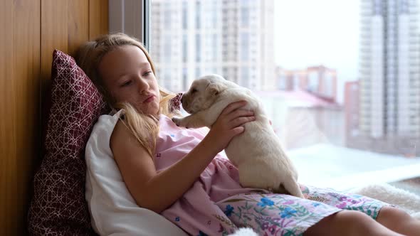 Girl Holding Cute Labrador Puppy in Hands