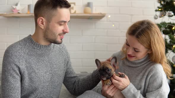 A Couple in Love with Their Dog in the Living Room