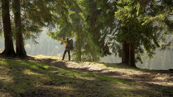 A Man with a Backpack Travels in a Beautiful Forest