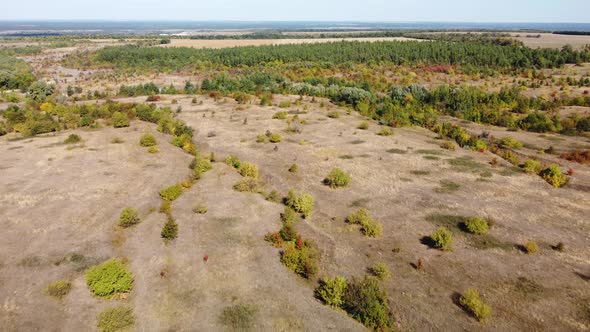 Plain Fields Trees From a Bird's Eye View