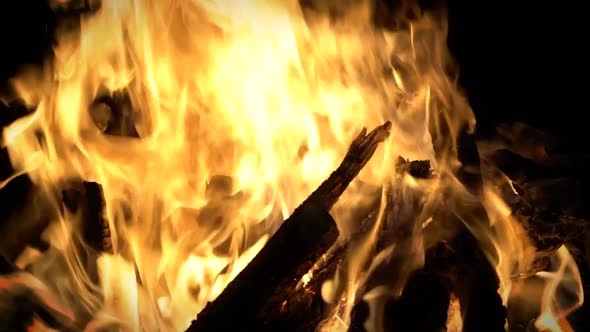 Burning Woods and Fire Close-Up Slow Motion