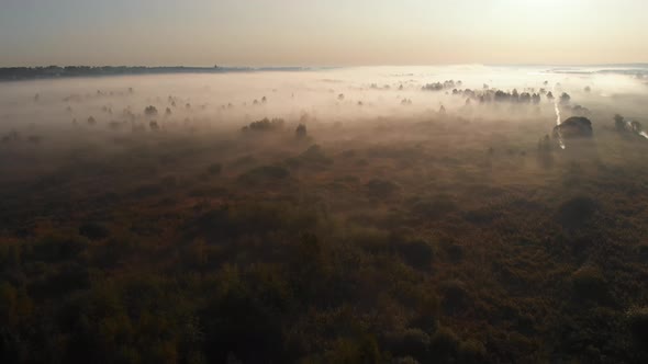 Epic aerial view of sunrise fog covering field with trees.