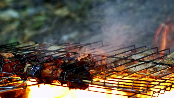 Chicken And Lamb Liver On Barbecue Fire 