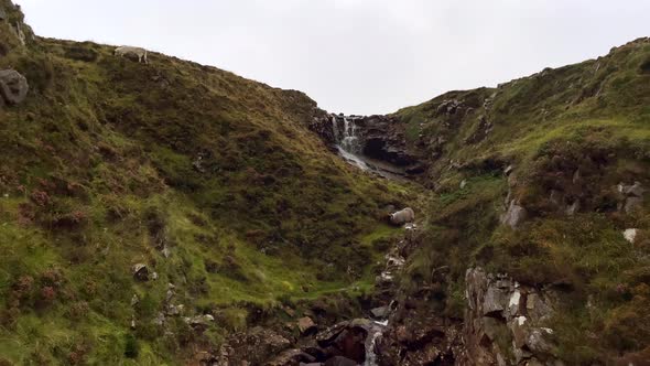 Slowly flowing waterfall in green mountains and grazing sheep on hill during cloudy day in Ireland