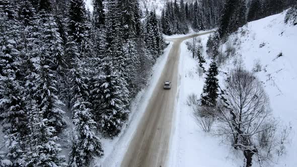 Aerial View of Car Moving Forward By Snowed Mountain Road Pine Trees on Each Side of the Road