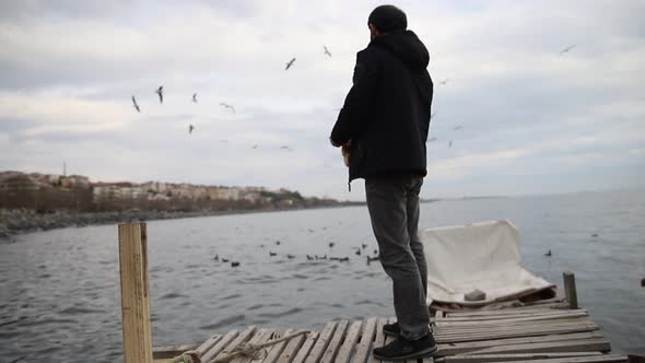 The man who feeds the seagulls in the harbor