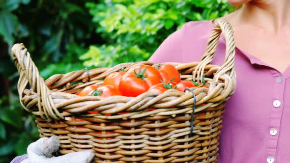 Beautiful woman holding wicker basket with tomatoes