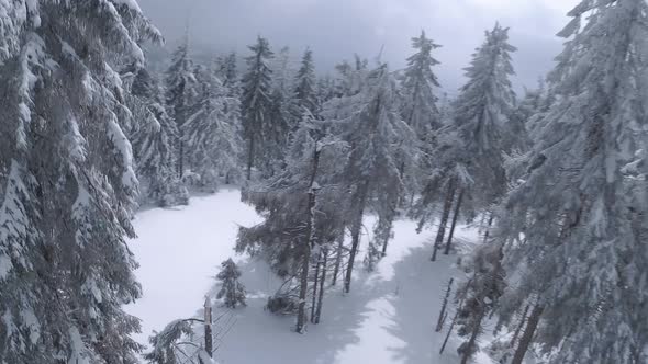 Aerial View of a Fabulous Winter Mountain Landscape Closeup