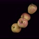 Flying Apples on a Black Background - VideoHive Item for Sale