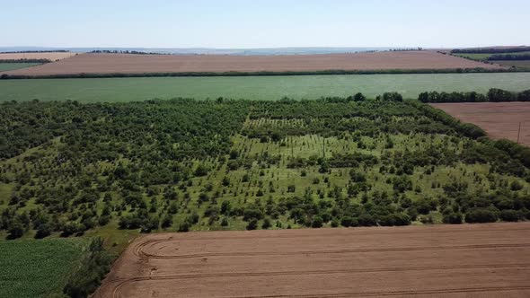 Aerial View of Highway Road Between Meadow and Agricultural Field