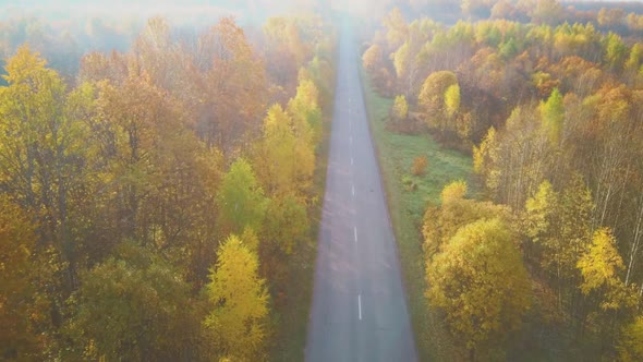 Aerial Video of the Road in the Middle of a Autumn Forest