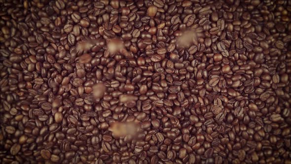 Coffee Beans