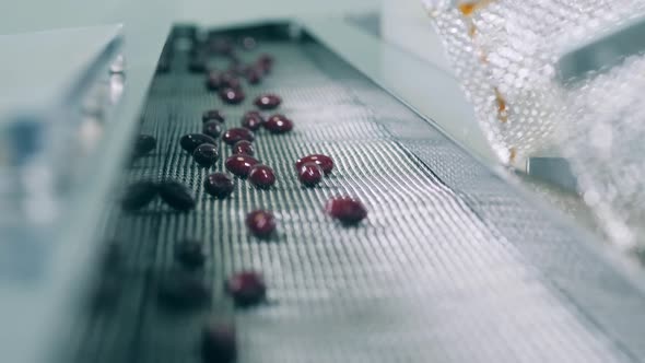 Pills Moving Along the Conveyor. Close Up