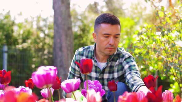 Middle-aged Man Taking Care of Flowers at Garden