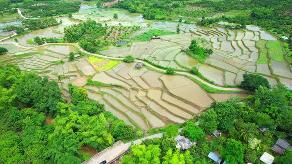 Aerial drone of Rice terraces and fields