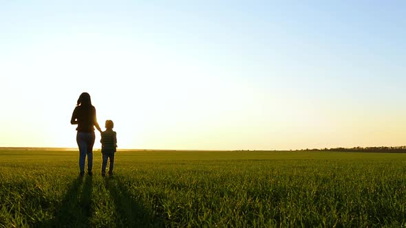 A Mother and Child Hold Hands As They Run Through the Green Grass at Sunset. The Concept of a Happy