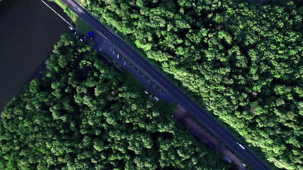 Aerial View of a Car Road in Leafless Forest