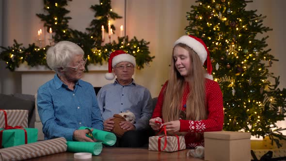 Elderly Grandma Packing Gifts with Granddaughter