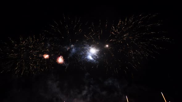 Fireworks in the Night Sky