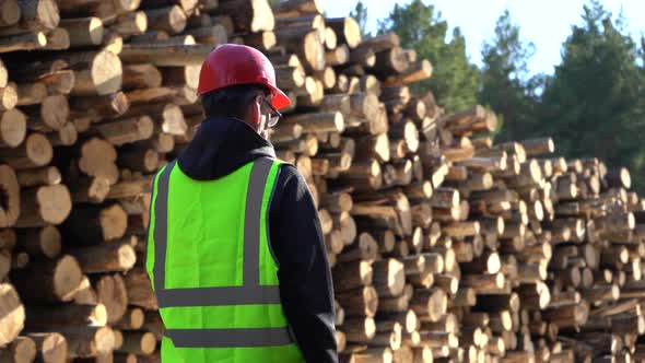 A Worker in Overalls Stands Next to a Warehouse of Logs Harvested for Woodworking