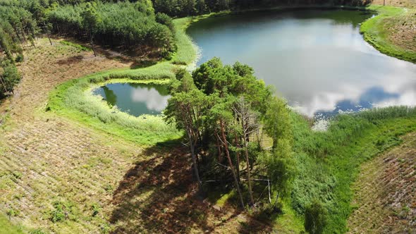 Lake and Green Forest. Aerial View