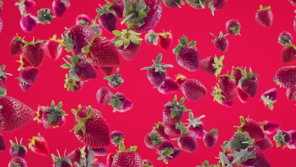 Strawberry with Slices Falling on Fuchsia Background