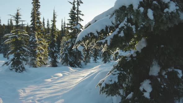 Beautiful Snow Covered Landscape in Canadian Mountain Nature