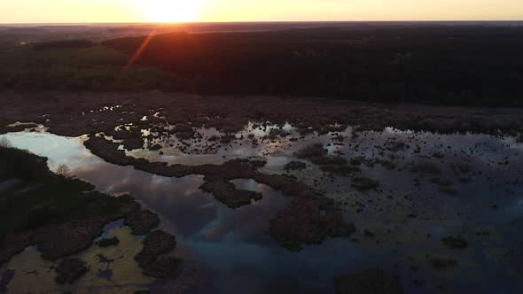 Beautiful Sunset Above Wild Swamp and Forest