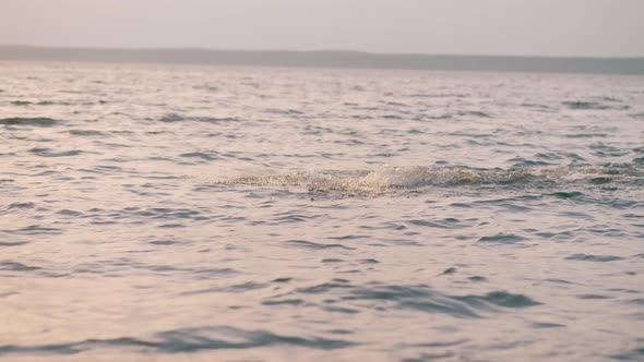 Sportsman Is Using Butterfly Swimming Stroke in the Sea